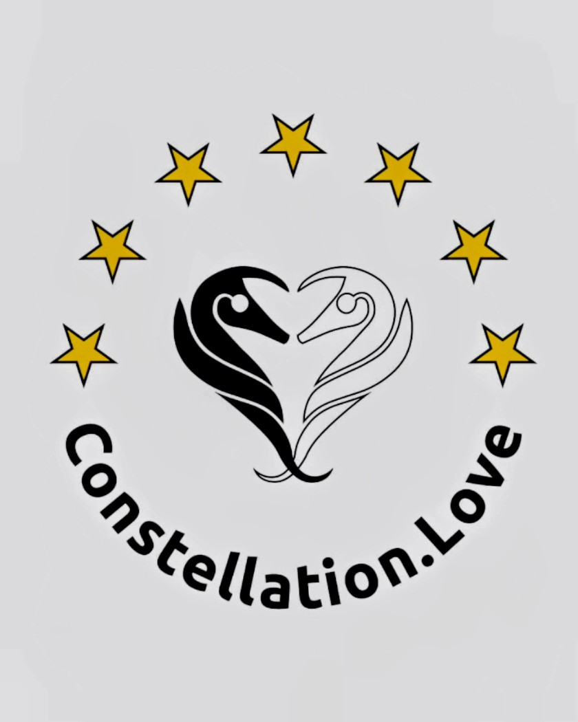 Constellation.Love — logo klienta